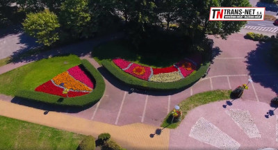 Szeroki zakres usług związanych z utrzymaniem zieleni miejskiej